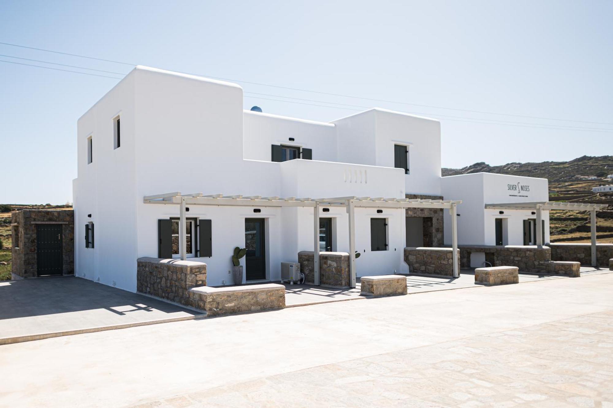Silvair III By Silvernoses, Mykonos Mykonos Town Kültér fotó